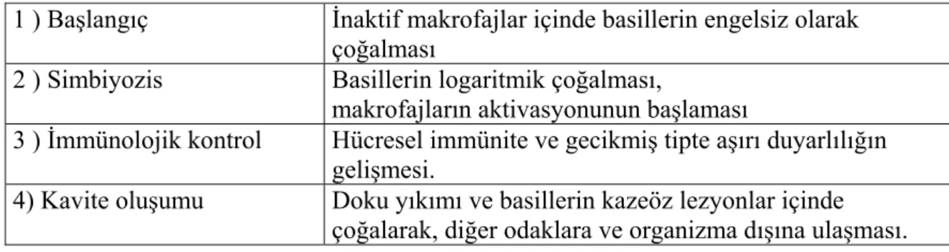 Tablo 2.1.4.1. Tüberkülozda patogenez: dört-evre modeli 