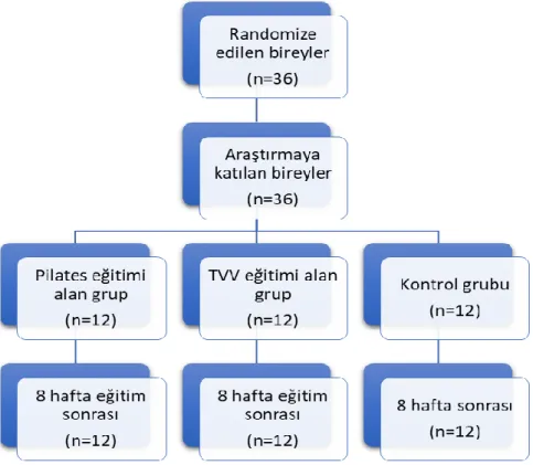 ġekil 3.1. Araştırma akış diyagramı. 