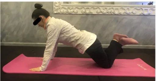 ġekil 3.8. Modifiye ―push-ups‖ testi. 