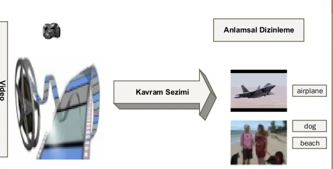 Şekil 1.3 Kavram sezimi 