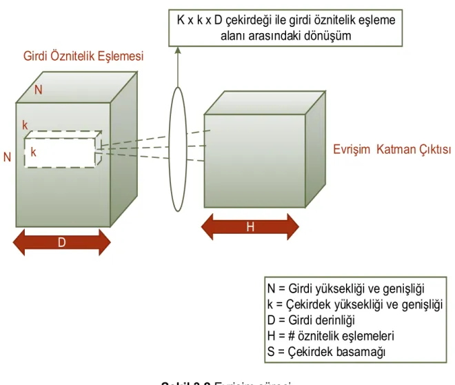 Şekil 3.2 Evrişim süreci  