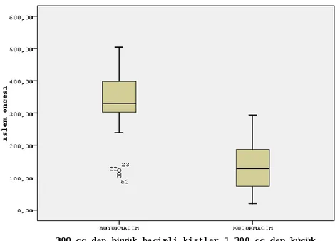 Grafik 5.  ĠĢlem öncesinde büyük ve küçük hacimli kistlerin volüm grafiği