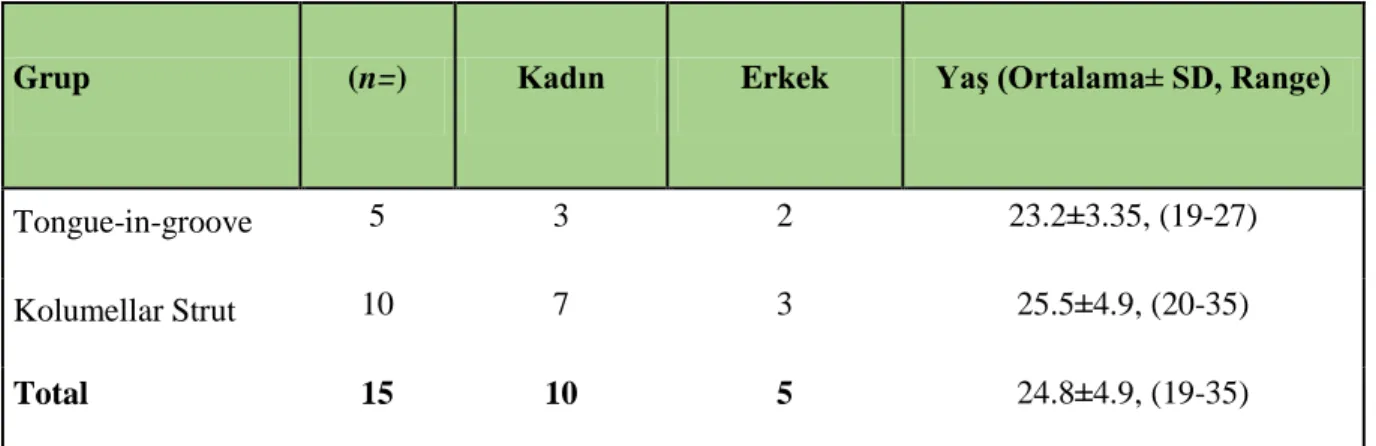 Tablo 3. Demografik Bilgiler 