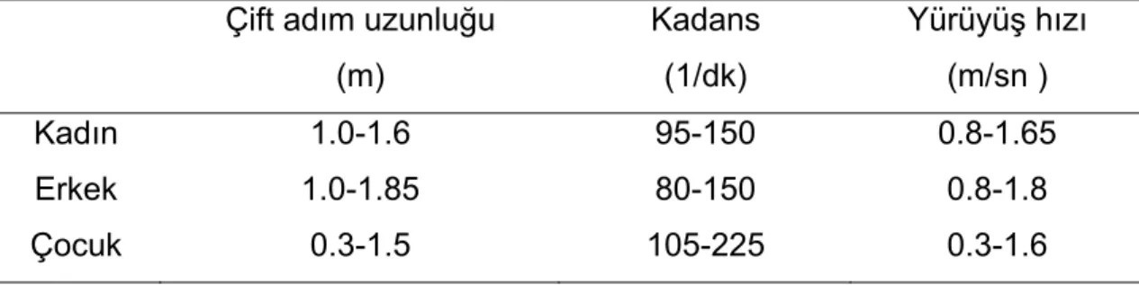 Tablo 2.2. Cinsiyet ve yaşa göre yürüyüş parametreleri 46