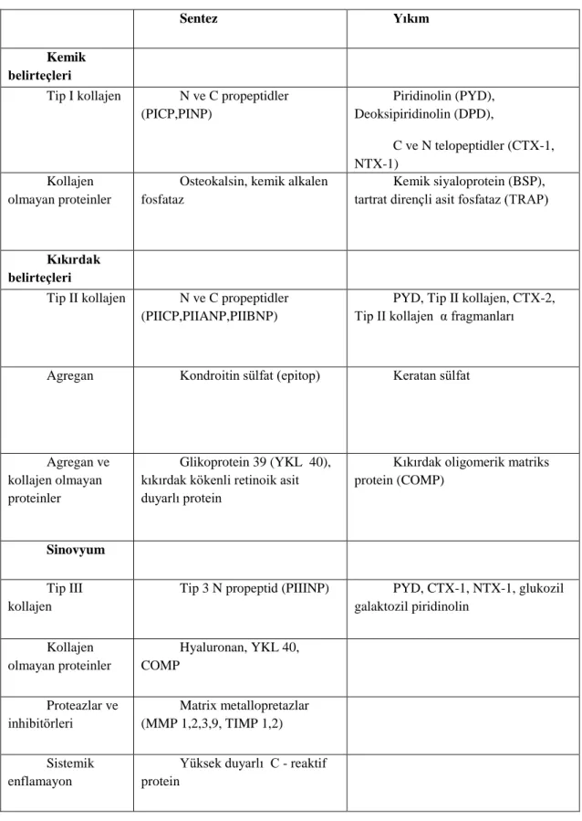 Tablo 2-3. Kemik, kıkırdak ve sinoviyum biyolojik belirteçleri 