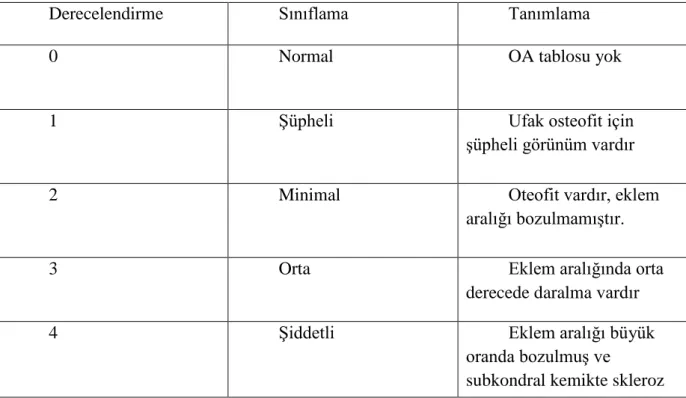 Tablo 2-4. Kellgren-Lawrence radyolojik sınıflaması. 