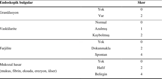 Tablo 2.3. Rachmilewitz endoskopik aktivite indeksi  