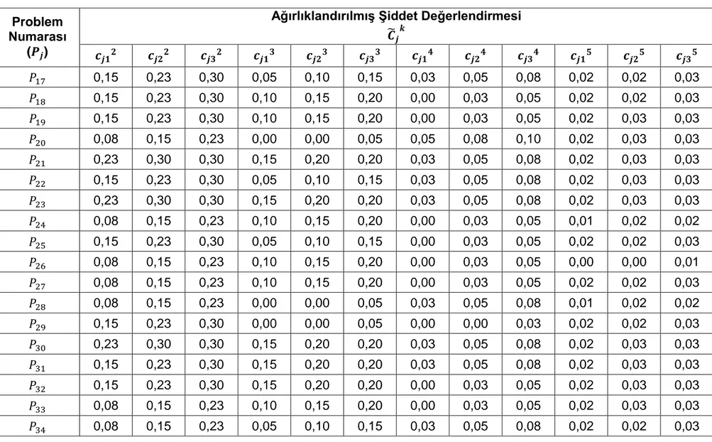 Çizelge 4.1. Karar Vericilerin Problemlere İlişkin Ağırlıklandırılmış Şiddet Değerlendirmeleri (devamı) 