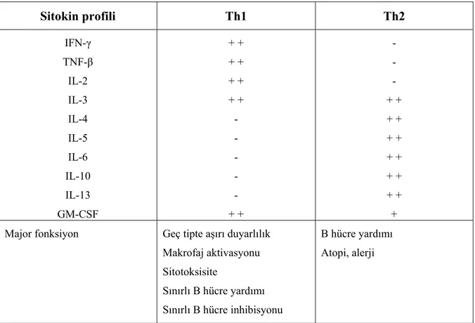 Tablo 2.9. Th1 ve Th2 lenfosit alt grupları arasındaki önemli farklar 