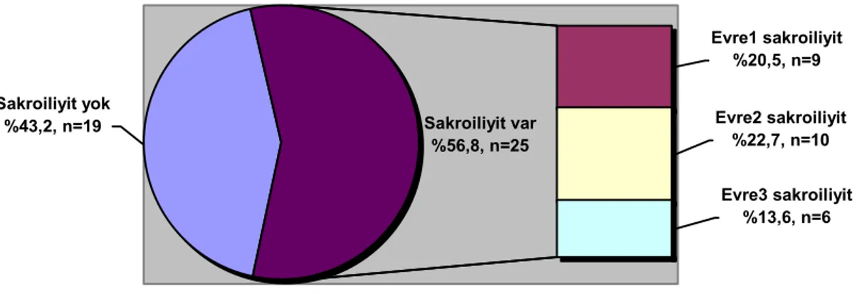 Şekil 1. Sakroiliyak grafi çekilen hastalarda sakroiliyit durumu, n=44Sakroiliyit yok%43,2, n=19 Evre1 sakroiliyit%20,5, n=9 Evre2 sakroiliyit%22,7, n=10 Evre3 sakroiliyit%13,6, n=6Sakroiliyit var%56,8, n=25