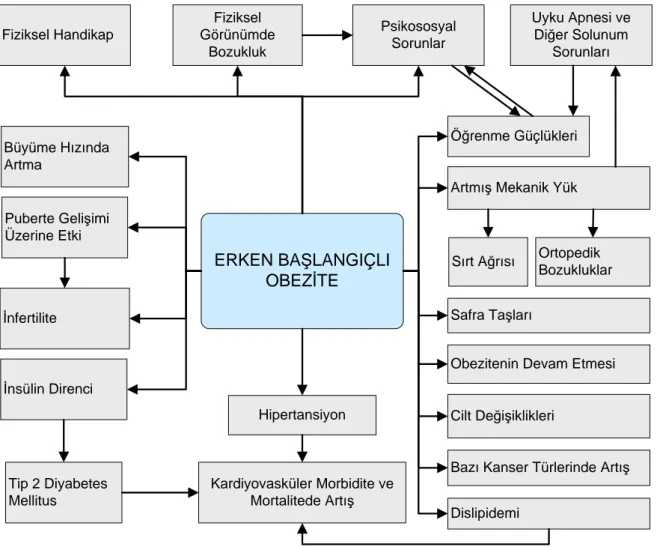 Şekil 2. 2’ de erken başlangıçlı obezitenin sağlığa etkileri gösterilmektedir. 