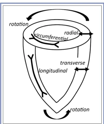 Figure 2.  One-dimensional strain components that can be 