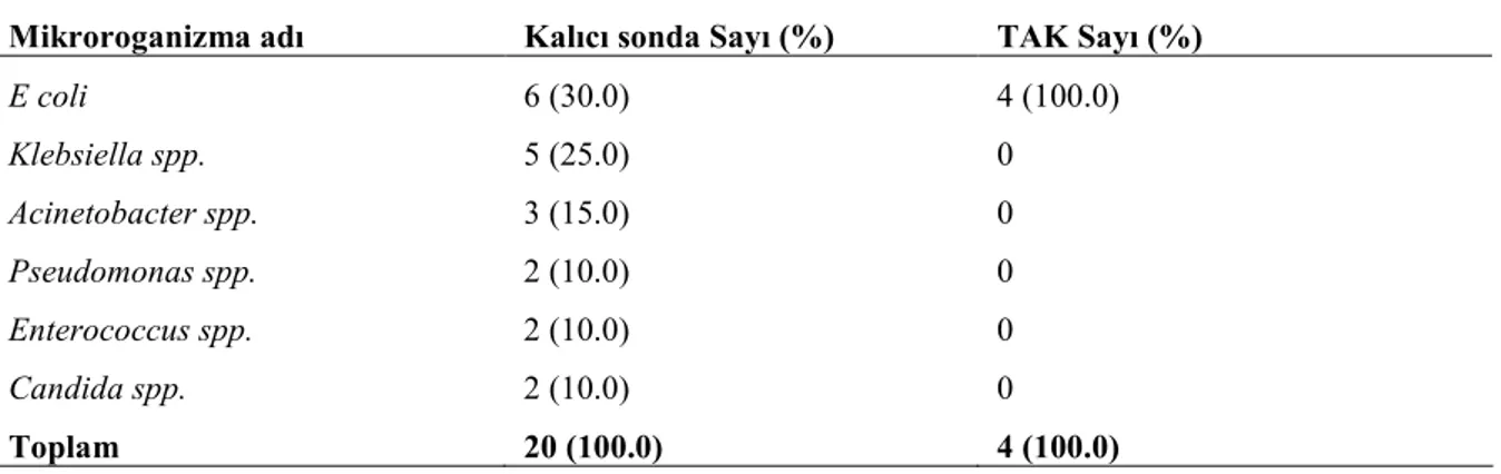 Tablo 7. Semptomatik ÜSĐ ataklarında kateterizasyon türüne göre etken dağılımı 