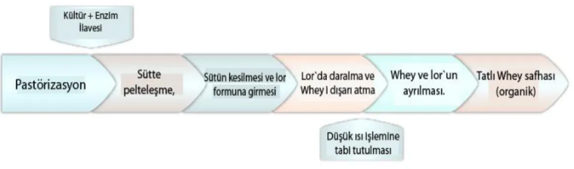 Şekil 1. Konsantre whey protein`in kullanıcıya hazır hale gelirken geçtiği 1. Aşama (37)