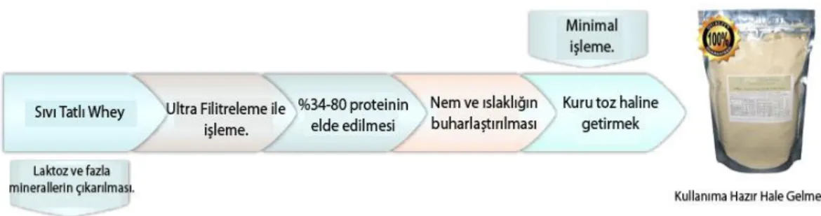 Şekil 2. Konsantre whey protein`in kullanıcıya hazır hale gelirken geçtiği 2. Aşama (37)