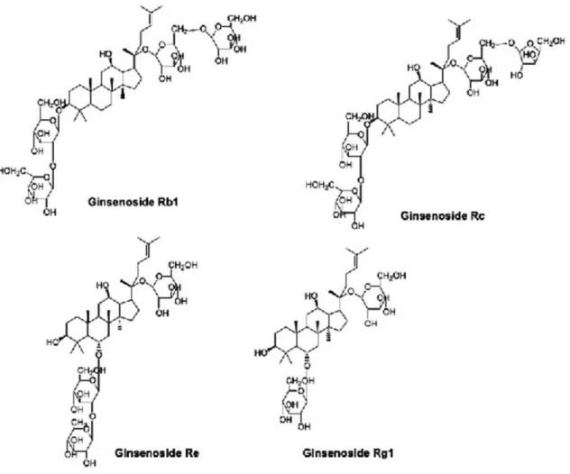 Figure 1: Structure of the selected protopanaxdiols (Ginsenoside Rb1 and Rc) and protopanaxtriols (Ginsenoside Re and Rg1).