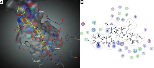 Figure 6: Docking interactions of ginsenoside Re on BChE (A) 3D (B) 2D representation.