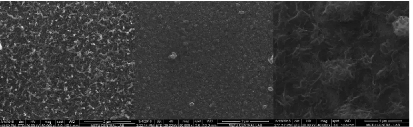 Figure 8.  seM images of PeDoT, copolymer (feed ratio 9:1) and P(CzPDiCz) films (left to right).