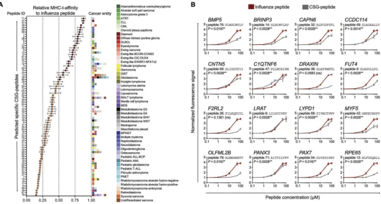 Figure 4. Validation of MHC-affinity of CSG-encoded peptides in a T2-binding assay. A) Relative MHC-I-affinity of 79 selected peptides at 100 µM in T2-binding assays as compared to a highly affine influenza peptide (peptide sequences are given in Supplemen