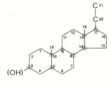 Şekil 2-2: Siklopentanoperhidrofenantren halkası 