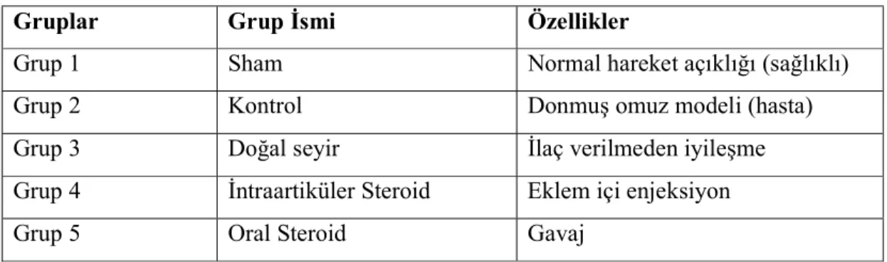 Tablo 3-1: Deneklerin gruplara ayrılması 