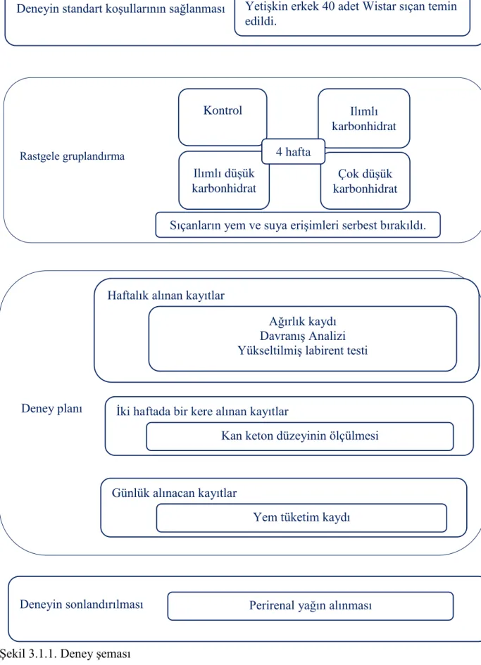 Şekil 3.1.1. Deney şeması 