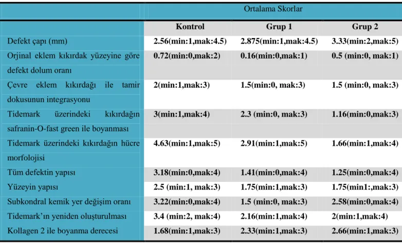 Tablo 4.1  Ortalama değerler  