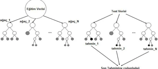 ġekil 2.3 Random Forest sınıflandırma algoritması [60]. 