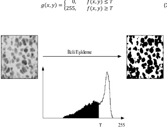 Şekil  3.15  Örnek  görüntü histogramı ve ikili eşikleme işlevine ilişkin giriş ve çıkış  görüntüsü [34] 