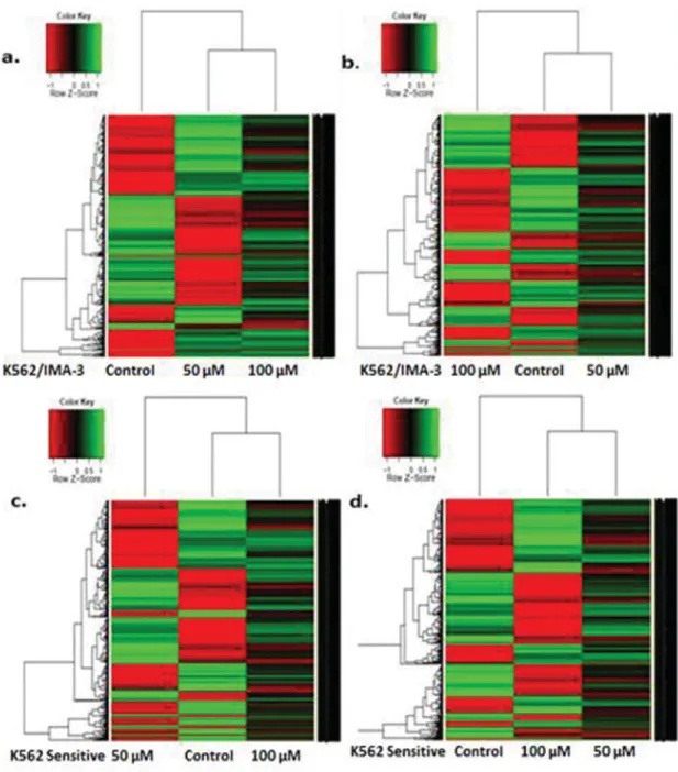 FIG. 6. Hierarchical clustering based on gene expression data from K562 and K562/IMA3 cells exposed to apigenin