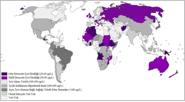 Şekil 2.1. Dünya genelinde 2011 yılında üriner iyot atımına bağlı iyot yetersizliği 