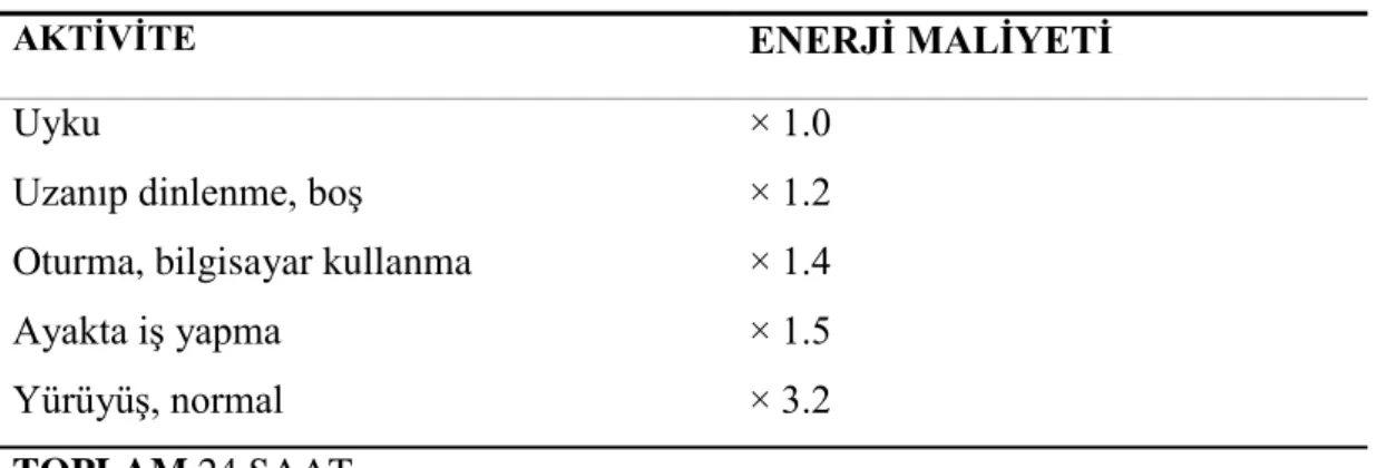 Tablo 3.3.1. Fiziksel aktivite hesaplama 