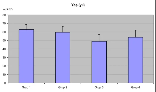 Şekil 3: Gruplara göre yaşların dağılımı 