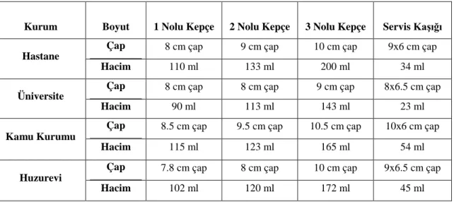 Tablo 3.2. Kurumlarda Kullanılan Servis Araçlarının Boyut ve Hacimleri 