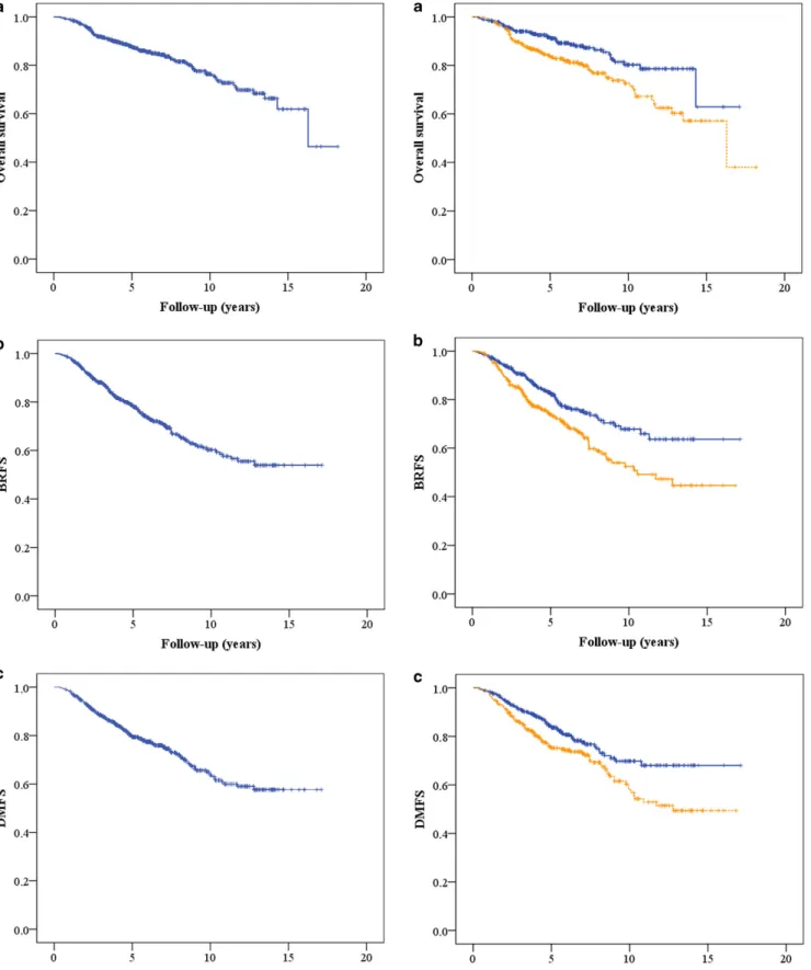 Fig. 1 The 5-year overall survival (OS), biochemical relapse-free sur- sur-vival (BRFS), and distant metastases-free sursur-vival (DMFS) rates for the whole cohort