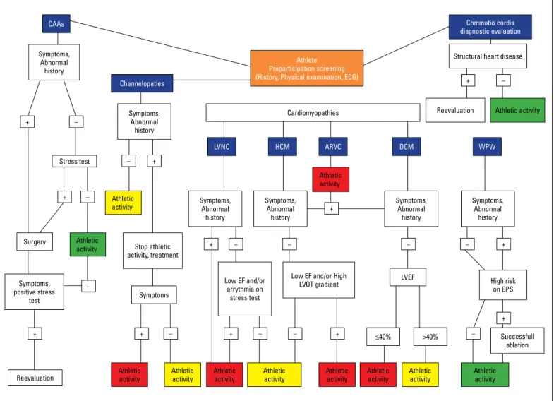 Figure 1. Athletic activity recommendations for athletes with genetic cardiovascular pathologies and commotio cordis