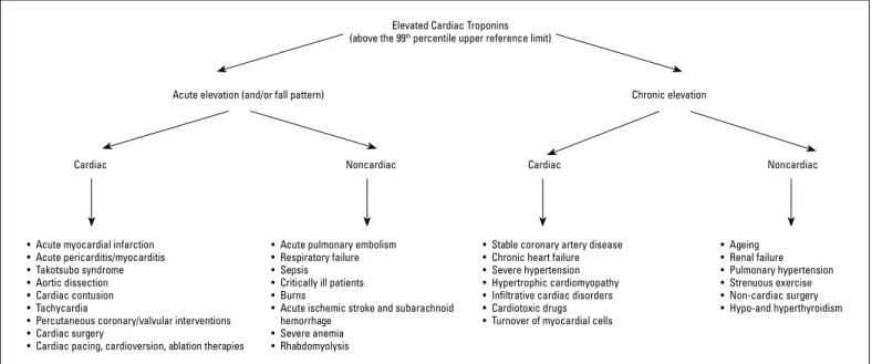 Figure 1. Schematic presentation of the conditions related with elevated cardiac troponins