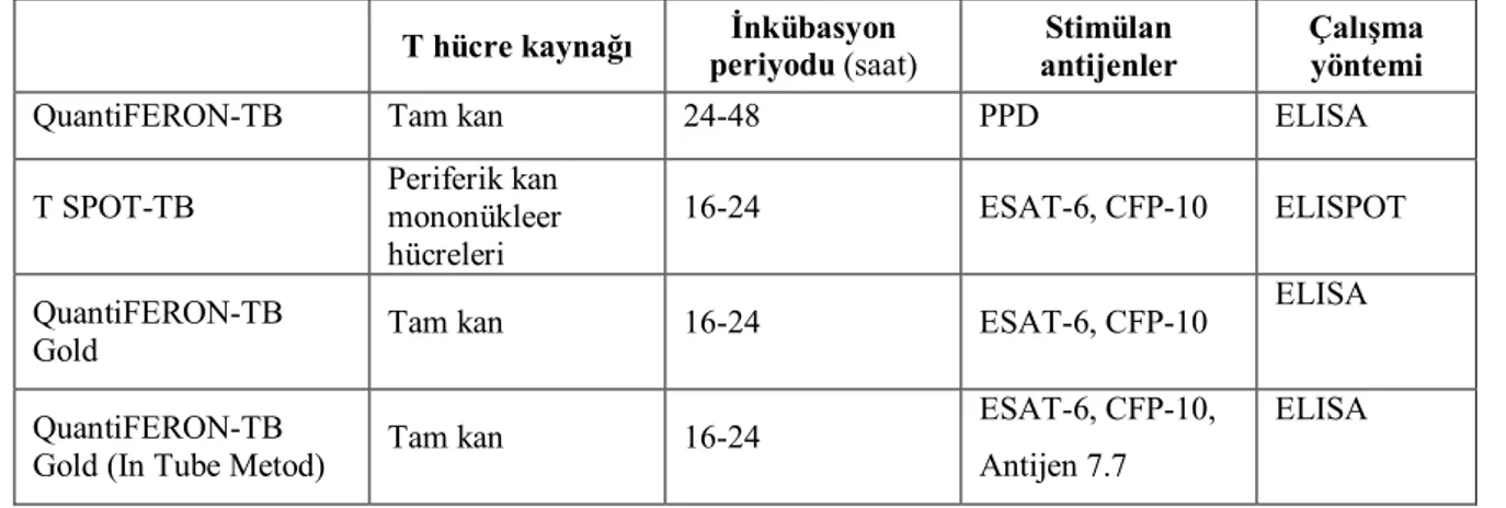 Tablo 2.1 T hücrelerinde IFN-γ araştırmasına dayanan testler ve özellikleri (45) 