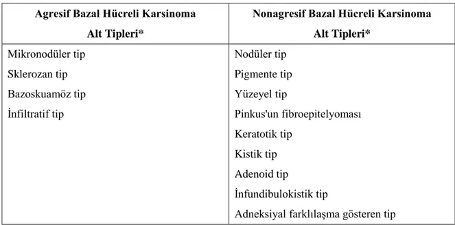 Tablo 2.2. Bazal hücreli karsinomanın agresif ve nonagresif histopatolojik alt tipleri (4)