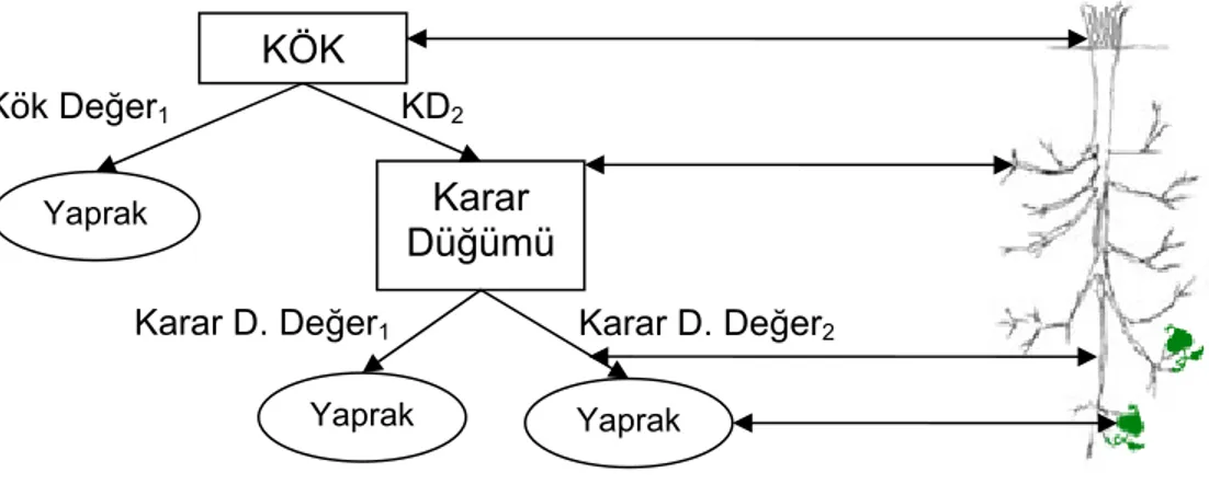 Şekil 9 Gerçek ağaç ve Karar Ağacı arasındaki benzerlik 