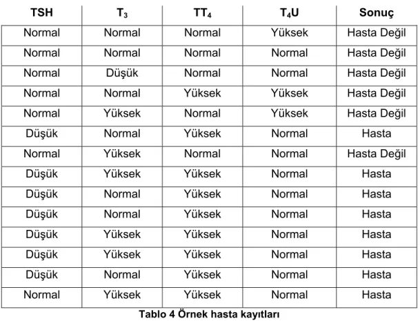 Tablo 4 Örnek hasta kayıtları 