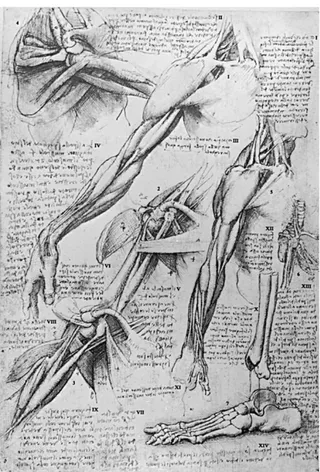 Şekil 1. Leonardo Da Vinci'nin omuz kuşağı üzerine çalışmalarını da içeren not defterinden bir sayfa (17) 