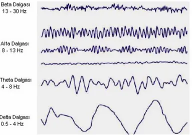 Şekil 2.5 Beta, alfa, teta ve delta EEG dalga formları [40] 