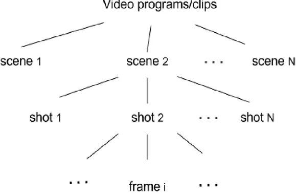 Figure 1.1 General structure of a video segment  1.4  Challenges 