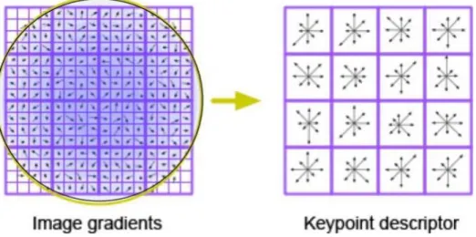 Figure 3.4 SIFT feature descriptor representation  3.1.4  Feature encoding 