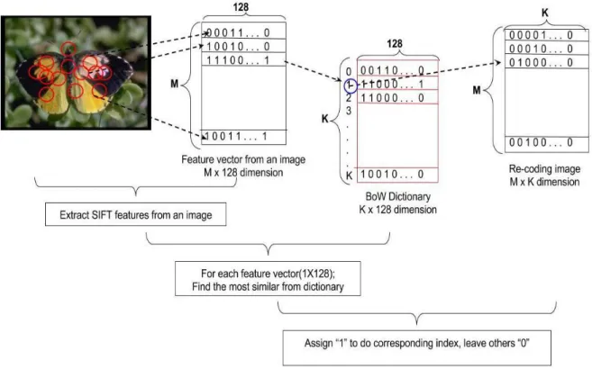 Figure 3.5 Vector coding visualization 