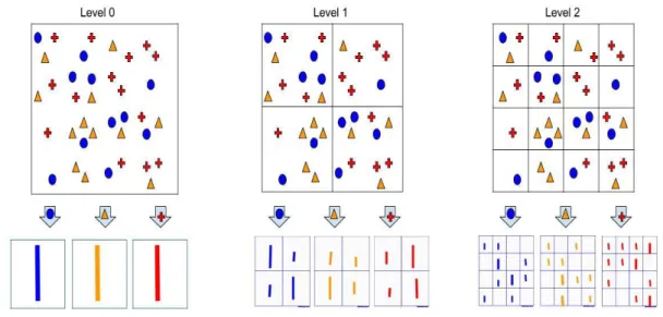 Figure 3.6 Spatial Pyramid visualization 