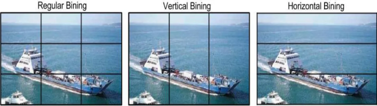 Figure 3.7 Spatial Pyramid binning visualization  3.1.6  Classifier design 