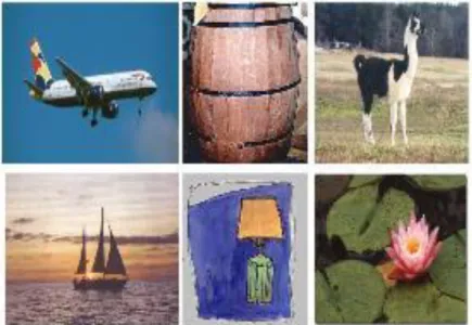 Figure 3.8 Some examples from Caltech-101 dataset 