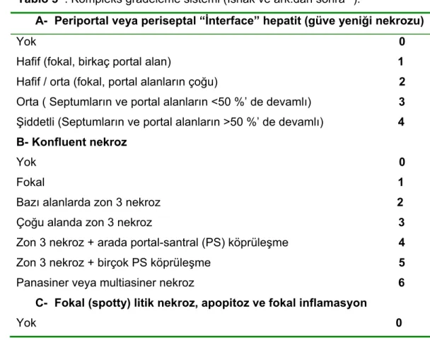 Tablo 5  : Kompleks gradeleme sistemi (Ishak ve ark.dan sonra 56 ).